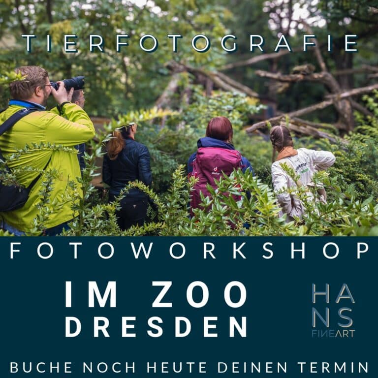 Teilnehmer des Fotoworkshops Tierfotografie im Zoo Dresden fotografieren Tiere zusammen mit einem Zoo-Scout.