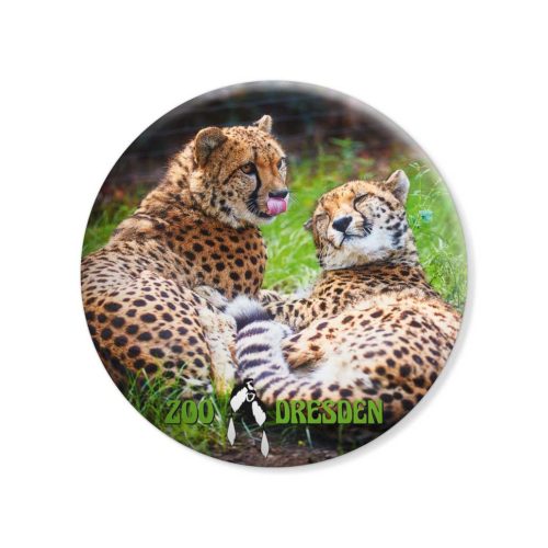 Zoo Dresden Magnet bhm-z003